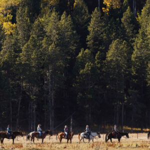 Horse Riding