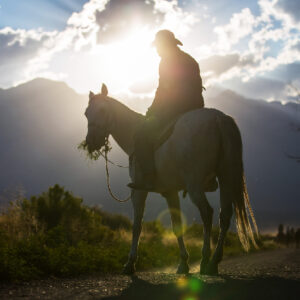 Horse Riding